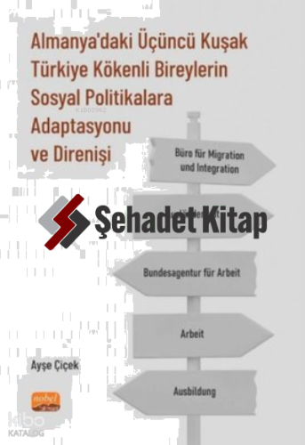 Almanya'daki Üçüncü Kuşak Türkiye Kökenli Bireylerin Sosyal Politikalara Adaptasyonu ve Direnişi