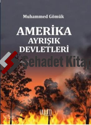 Amerika Ayrışık Devletleri