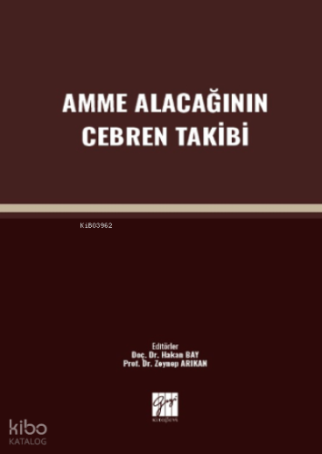 Amme Alacağının Cebren Takibi