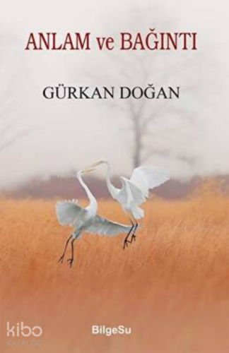 Anlam ve Bağıntı | Gürkan Doğan | Bilgesu Yayıncılık