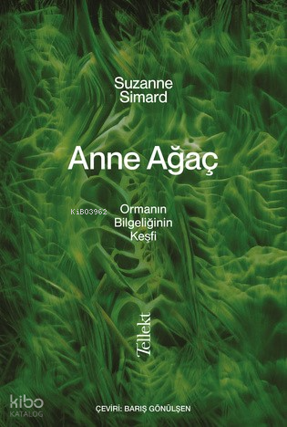Anne Ağaç;Ormanın Bilgeliğin Keşfi