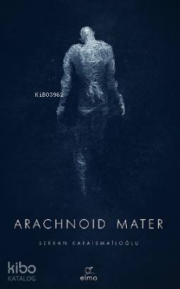 Arachnoid Mater
