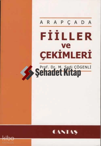 Arapçada Fiiller ve Çekimleri