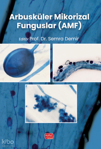 Arbusküler Mikorizal Funguslar (AMF) | Kolektif | Nobel Bilimsel Eserl