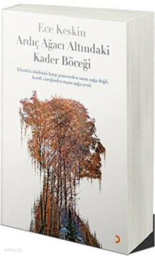 Ardıç Ağacı Altındaki Kader Böceği