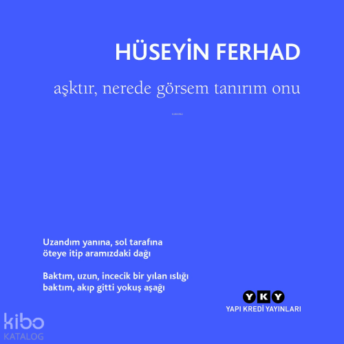 Aşktır, Nerede Görsem Tanırım Onu