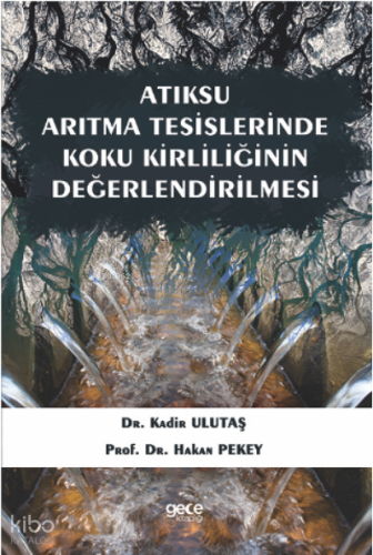Atıksu Arıtma Tesislerinde Koku Kirliliğinin Değerlendirilmesi