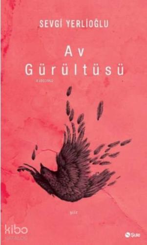 Av Gürültüsü