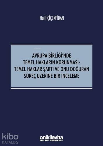 Avrupa Birliği'nde Temel Hakların Korunması:Temel Haklar Şartı ve Onu Doğuran Süreç Üzerine; Bir İnceleme
