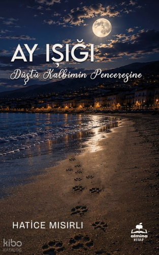 Ay Işığı Düştü Kalbimin Penceresine | Hatice Mısırlı | Almina Kitap