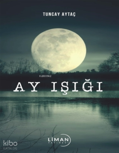 Ay Işığı
