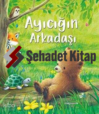 Ayıcığın Arkadaşı