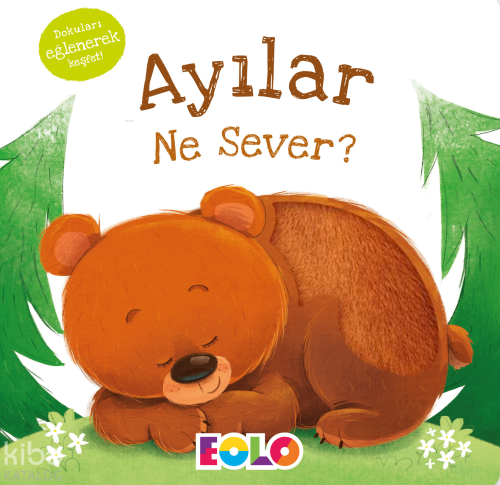 Ayılar Ne Sever?;Dokun-Hisset Kitaplar | Kolektif | Eolo Yayıncılık