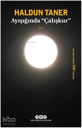 Ayışığında "Çalışkur"