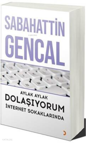 Aylak Aylak Dolaşıyorum İnternet Sokaklarında