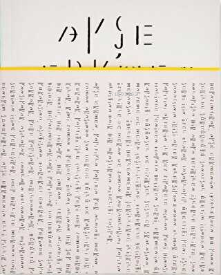 Ayşe Erkmen: Beyazımtırak