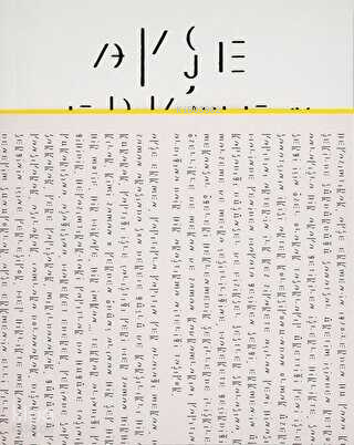 Ayşe Erkmen;Whitish