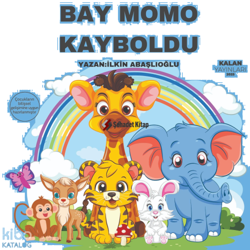 Bay Momo Kayboldu