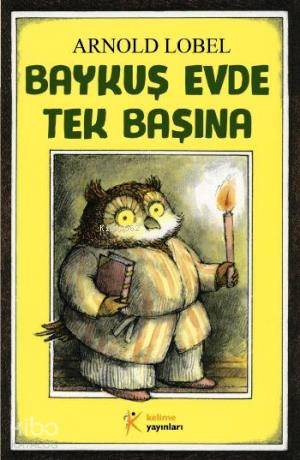Baykuş Evde Tek Başına