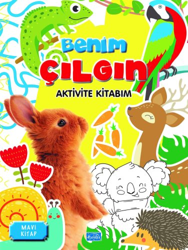 Benim Çılgın Aktivite Kitabım – Mavi Kitap | Barbaros Özcan | Parıltı 