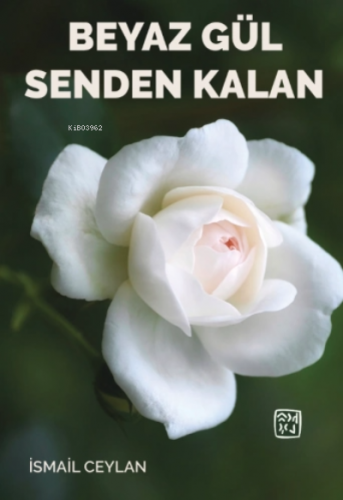 Beyaz Gül Senden Kalan