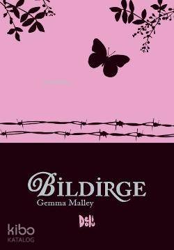 Bildirge