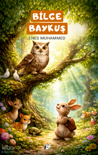 Bilge Baykuş | Enes Muhammed | Alaska Yayınevi