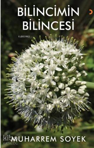 Bilincimin Bilincesi