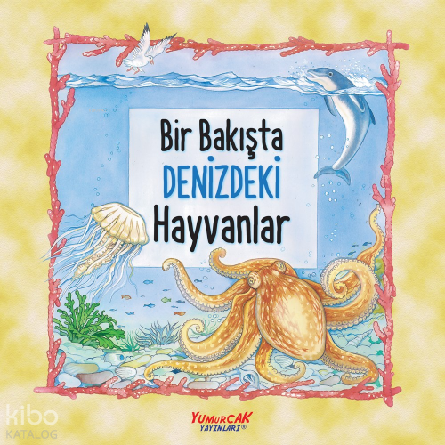 Bir Bakışta Denizdeki Hayvanlar | Sonia Bartoli | Yumurcak Yayınları