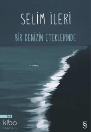 Bir Denizin Eteklerinde