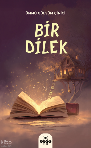 Bir Dilek | Ümmü Gülsüm Çinici | Hece Yayınları