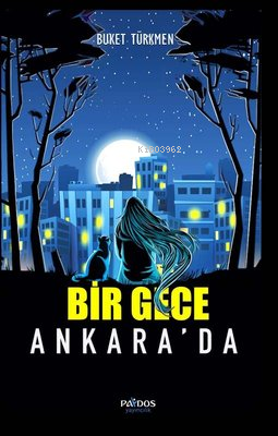 Bir Gece Ankara'da
