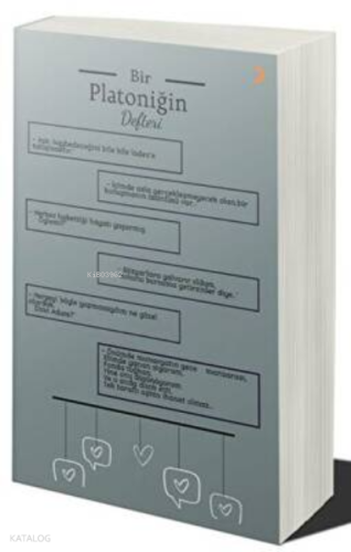 Bir Platoniğin Defteri