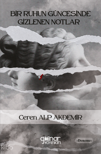 Bir Ruhun Güncesinde Gizlenen Notlar