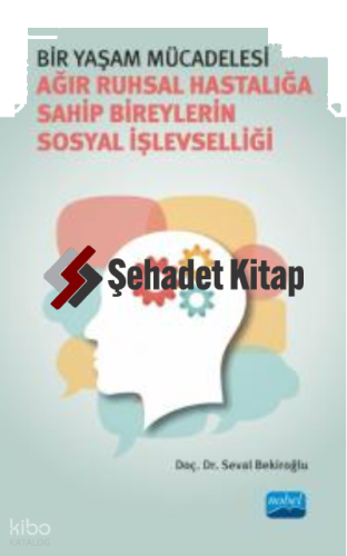 Bir Yaşam Mücadelesi; Ağır Ruhsal Hastalığa Sahip Bireylerin Sosyal İşlevselliği