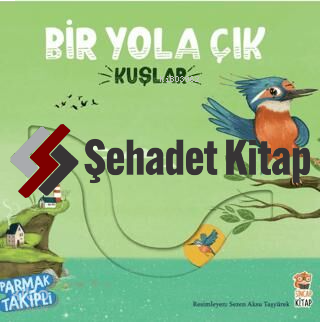 Bir Yola Çık | Kolektif | Sincap Kitap