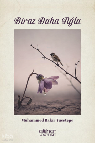 Biraz Daha Ağla | Muhammed Bakır Yücetepe | Gülnar Yayınları