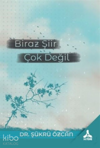 Biraz Şiir Çok Değil | Şükrü Özcan | Sonçağ Yayınları