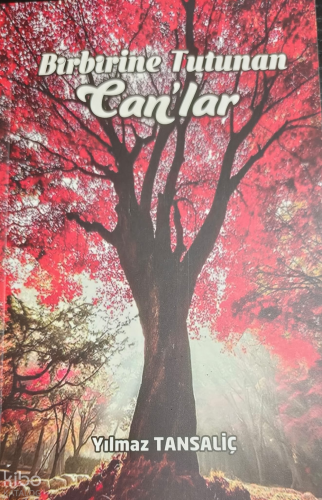 Birbirine Tutunan Can'lar | Yılmaz Tansaliç | Festival Yayıncılık