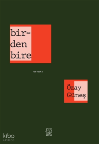 Birdenbire | Özay Güneş | Luna Yayınları