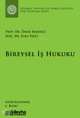 Bireysel İş Hukuku