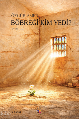 Böbreği Kim Yedi?