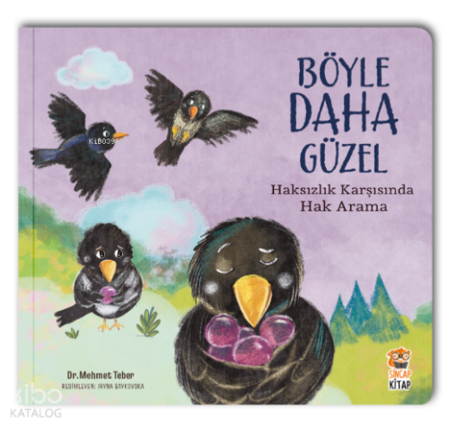 Böyle Daha Güzel – Haksızlık Karşısında Hak Arama | Mehmet Teber | Sin