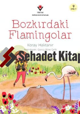 Bozkırdaki Flamingolar