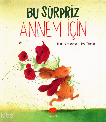 Bu Sürpriz Annem İçin | Brigitte Weninger | Uçan Fil Yayınları