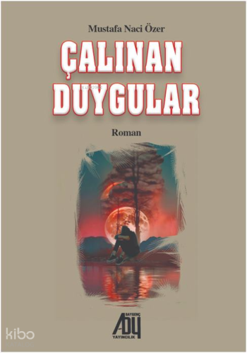 Çalınan Duygular | Mustafa Naci Özer | Baygenç Yayıncılık
