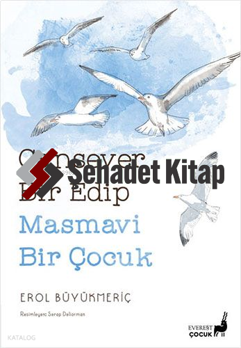 Cansever Bir Edip Masmavi Bir Çocuk | Erol Büyükmeriç | Everest Yayınl