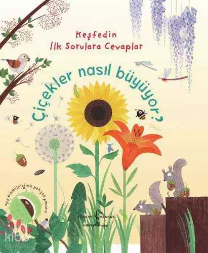 Çiçekler Nasıl Büyüyor?; Keşfedin İlk Sorulara Cevaplar | Katie Daynes