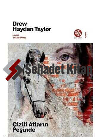 Çizili Atların Peşinde | Hayden Taylor | Sahi Kitap