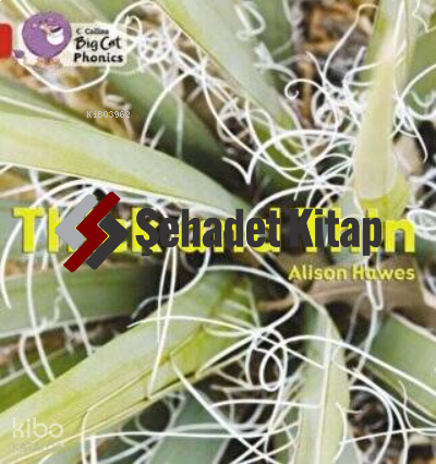 Collins Big Cat Phonics - Thick and Thin Band 02B - Red B